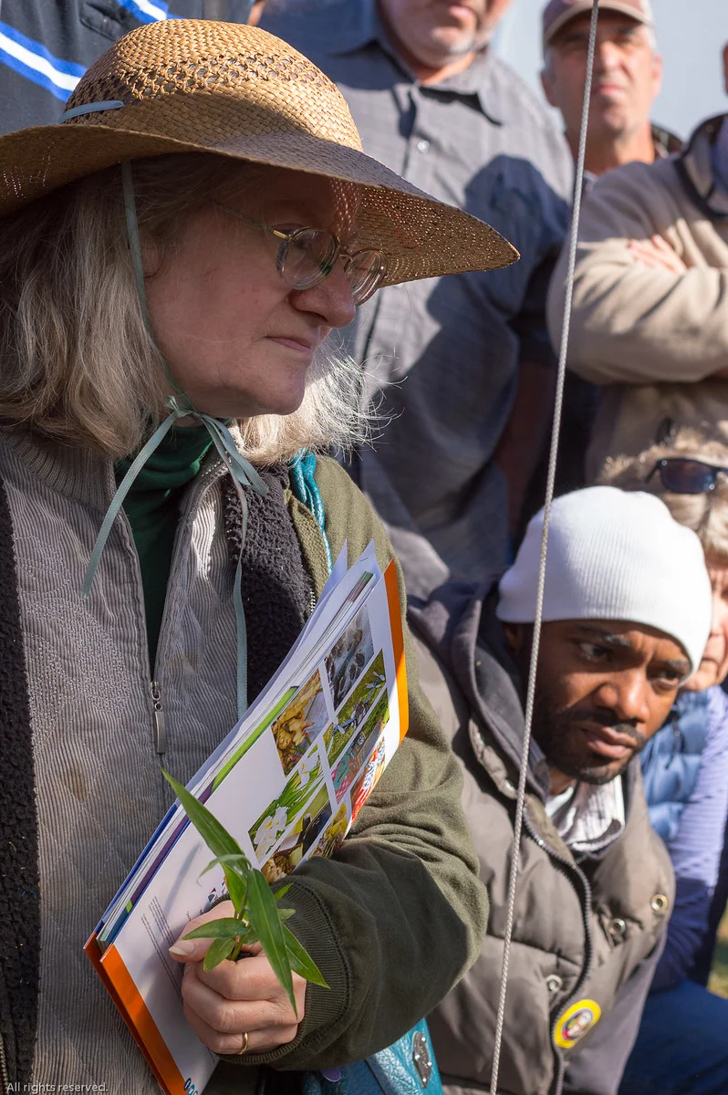 Dr. Razie Rafie and his team of researchers provide information on turmeric & ginger crop production to small farmers in Virginia.
