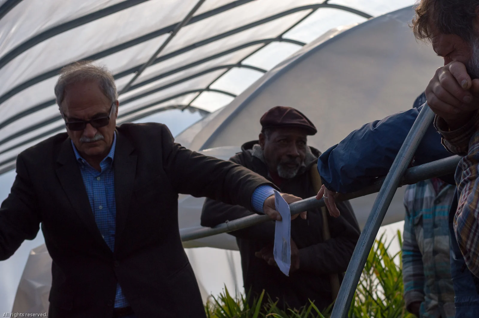 Dr. Razie Rafie and his team of researchers provide information on turmeric & ginger crop production to small farmers in Virginia.