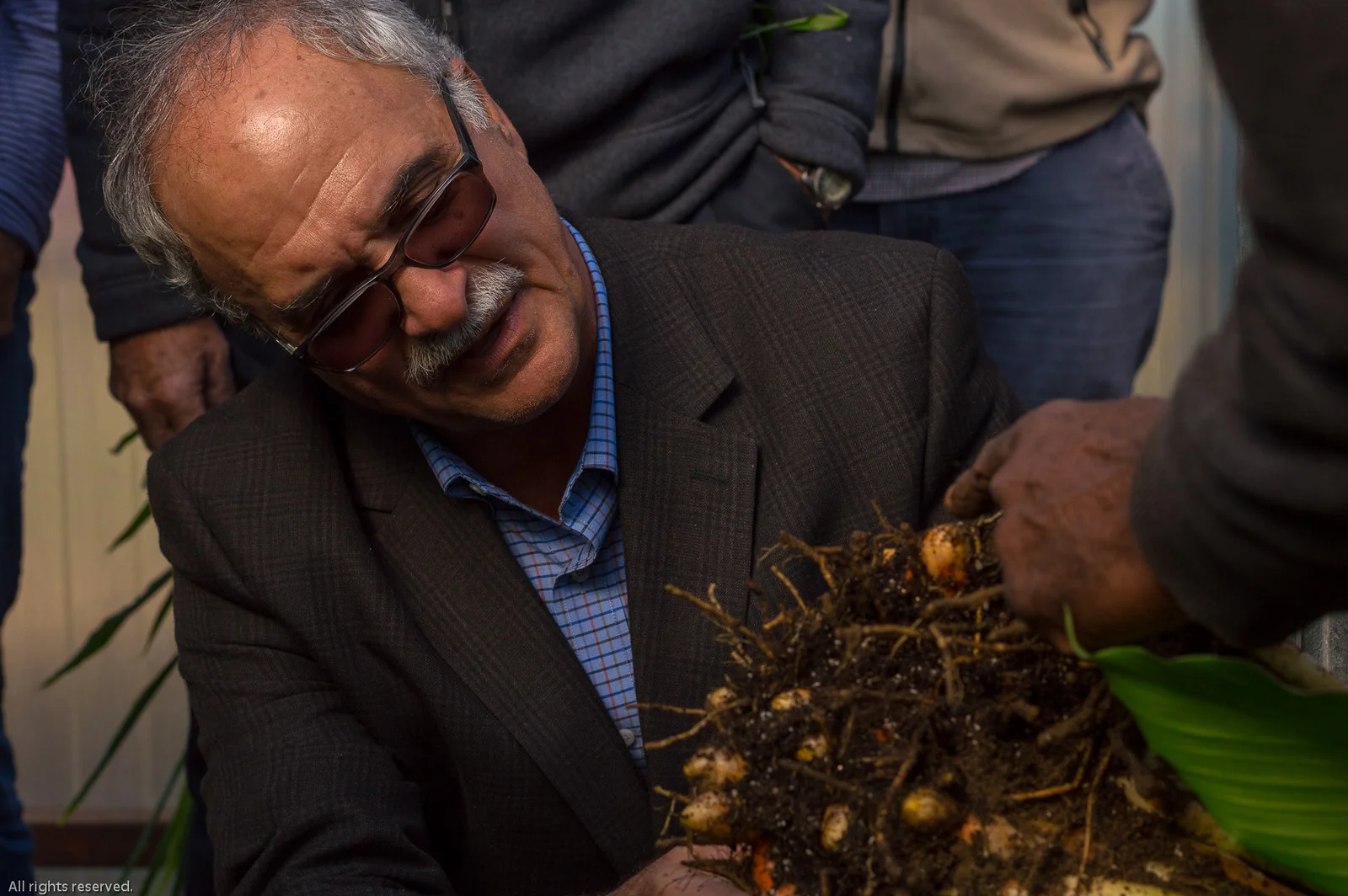 Dr. Razie Rafie and his team of researchers provide information on turmeric & ginger crop production to small farmers in Virginia.