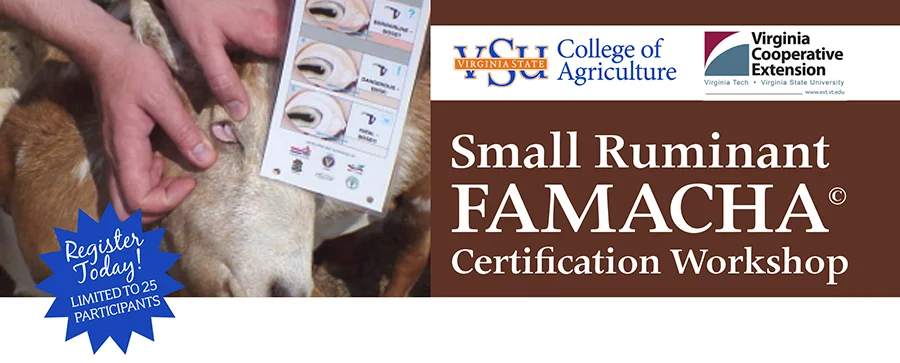 SmallRumStartUp_banner.jpg