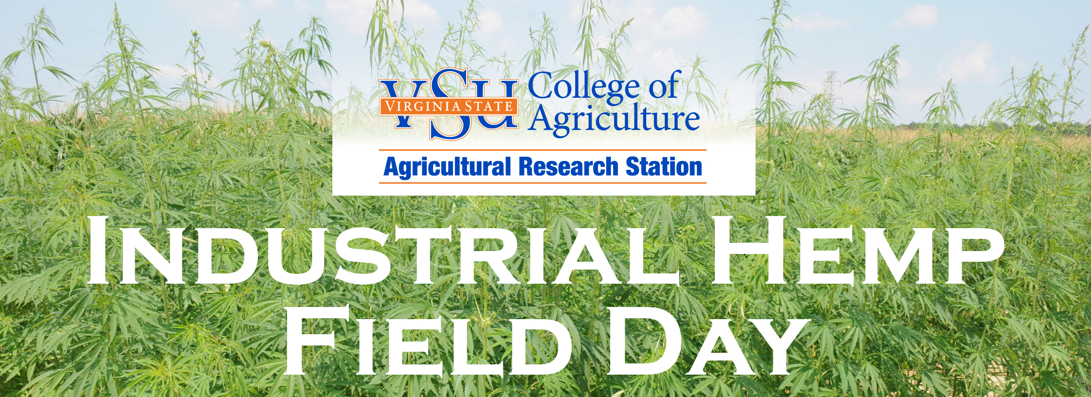 Industrial Hemp Field Day August 17, 2017 8am - 12pm Guests are invited to remain until 3pm for informal discussion with presenters and exhibitors VSU RANDOLPH FARM 4415 River Road • Petersburg, VA REGISTER ONLINE: https://goo.gl/forms/IBHI0TZbA93uAF2N2 This first-of-its kind public event will provide a forum for potential growers, researchers, marketing experts and industrial hemp product users to discuss the future of the crop in Virginia and neighboring states. Critical information will be shared on the challenges of growing industrial hemp, the available and potential markets for industrial hemp products, and crop processing feasibility to help farmers decide whether to consider growing the crop. _______________________ Agenda (subject to change prior to the event) (8am - 12pm) Coffee/Networking Welcome Industry Overview – Why Industrial Hemp? Markets for Industrial Hemp Products (fiber, seed) Industrial Hemp Research at VSU Industrial Hemp Plot Tour Exhibitor Engagement (12pm - 3pm) Opportunity for discussion with speakers and networking _________________________ What Is Industrial Hemp? Industrial hemp is a versatile crop that can be processed into different products with multiple uses. Its stalk can be used to produce biofuel, auto parts, paper, upholstery, fiber for cloth and other textile items, building materials, industrial products and different types of papers. Industrial hemp seeds can be used to produce animal feed and human food or serve as sources of oil for lotion and cosmetic products. VSU’s Role In Growing Industrial Hemp VSU is one of the higher learning institutions authorized to conduct industrial hemp research in the Commonwealth of Virginia. This came as a result of the passage of the 2014 Farm Bill Section 7606 by the U.S. Congress and the subsequent enactment of the Industrial Hemp Law by Virginia General Assembly in 2015. VSU began conducting field research on industrial hemp in 2016. Researchers are currently evaluating industrial hemp varieties for seed, seed oil, and biofuel production adaptable to Virginia’s climate. Optimum planting dates and fertilizer needs for maximum industrial hemp seed and fiber yields are also being investigated. The field trials are significant in evaluating the potential growth of industrial hemp in different parts of the state. But Virginia farmers also need information on the current and potential markets of industrial hemp products before they decide to grow the crop. Knowledge about processing facilities is also essential to determine the types of industrial hemp that should be grown. The decision to grow industrial hemp for its stalk, seed or both is influenced by the type and location of processing facilities. THIS EVENT IS FREE AND OPEN TO THE PUBLIC. Founded in 1882, Virginia State University is one of Virginia’s two land-grant institutions and is located 20 minutes south of Richmond in the village of Ettrick. For more information or if you are a person with a disability and desire any assistive devices, services or other accommodations to participate in this activity, please contact Agricultural Research Station at lmorris@vsu.edu or (804) 524-5151 / TDD (800) 828-1120 during business hours of 8 a.m. and 5 p.m. to discuss accommodations five (5) days prior to the event. Virginia State University College of Agriculture Agricultural Research Station M.T. Carter Agricultural Research Center P.O. Box 9061 • Virginia State University, VA 23806 www.agriculture.vsu.edu • (804) 524-5151