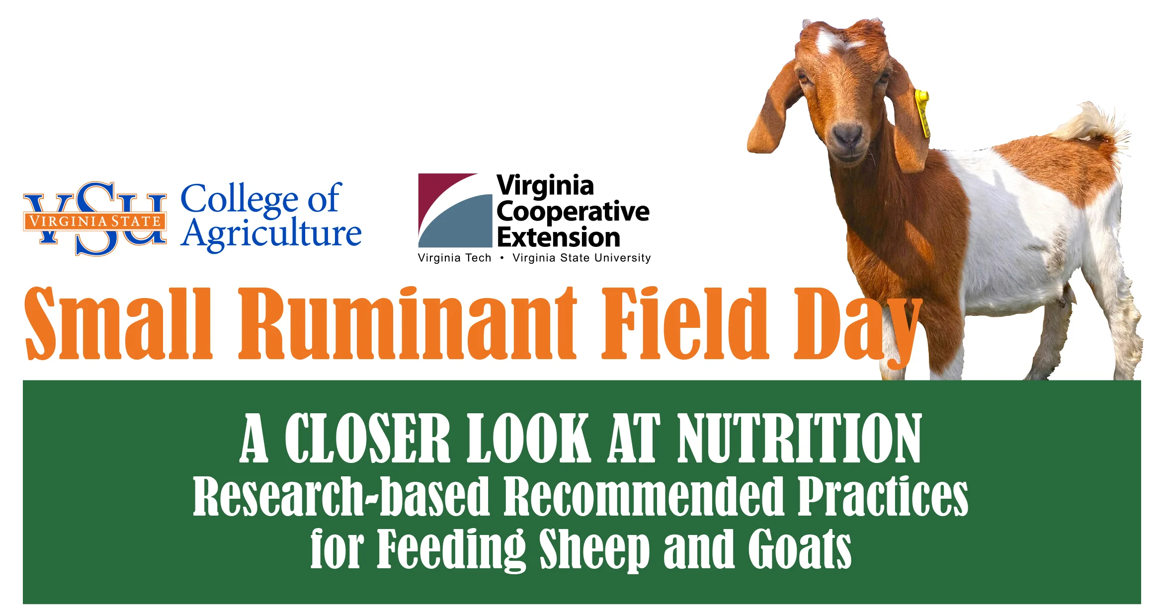 Small Ruminant Field Day OCTOBER 20, 2017 9:00am - 3:00pm VSU RANDOLPH FARM 4415 River Road • Petersburg, VA REGISTER ONLINE: https://goo.gl/forms/jinkAbQqZvImvjYw2 Join us for the Small Ruminant Field Day on Friday, October 20, beginning at 8:00am to learn more about the research-based practices for small ruminant nutrition. Cost is $10 per person, payable by cash or check on the day of the event. Please make your checks payable to "Virginia State University." If you are a person with a disability and desire any assistive devices, services or other accommodations to participate in this activity, please contact the Small Ruminant Program office at (804) 524-5960 / TDD (800) 828-1120 during business hours of 8 am. and 5 p.m. to discuss accommodations five days prior to the event.