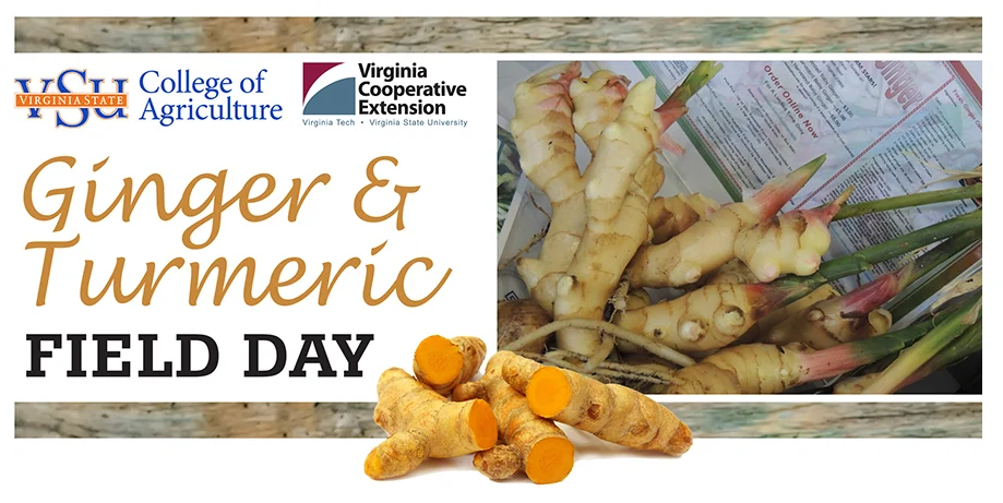 GingerTurmeric_banner.jpg