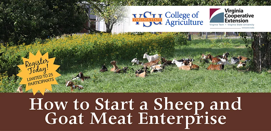 SmallRumStartUp_banner.jpg