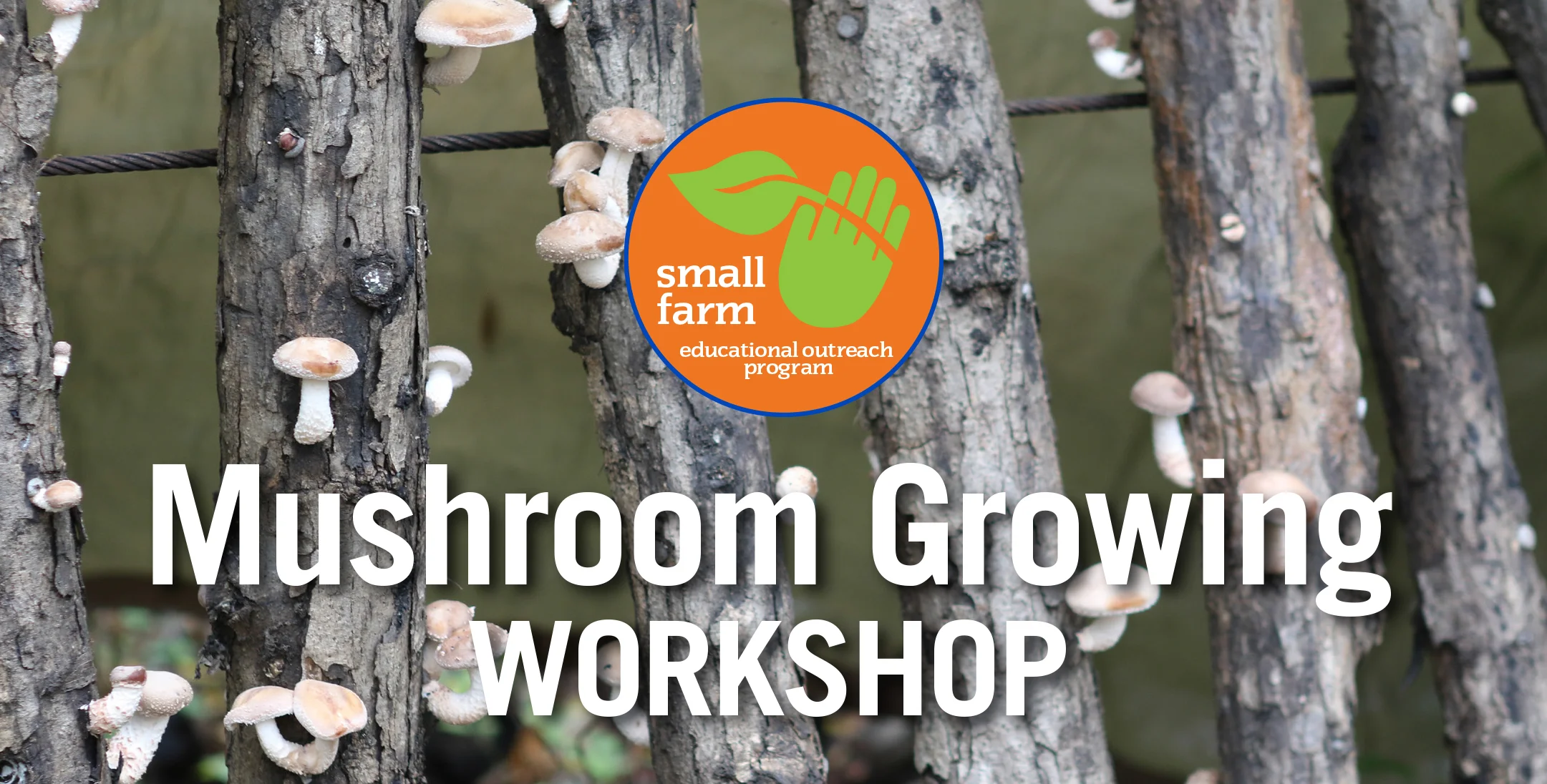 MushroomWkshp_banner.jpg