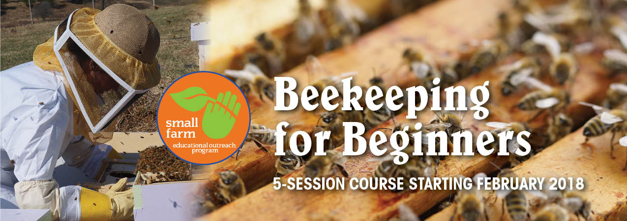 Beekeeping_Feb.jpg