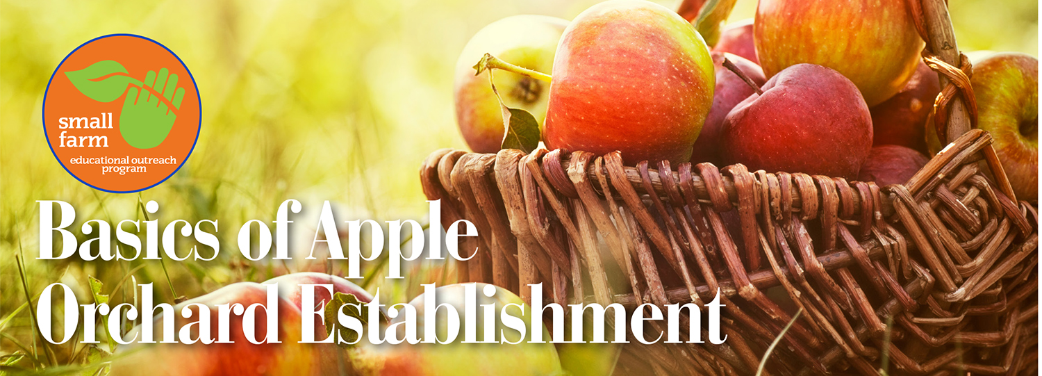OrchardsBanner.jpg
