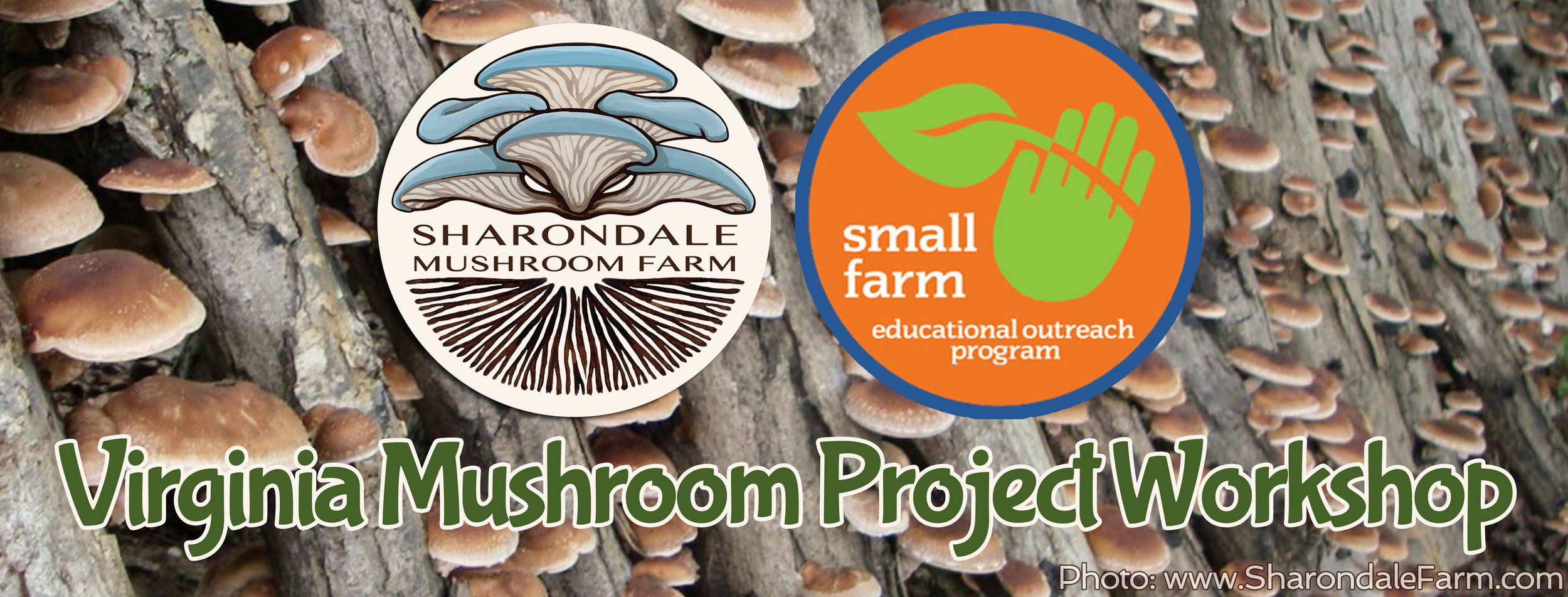 Virginia-Mushroom-Project-Workshop_hires.jpg