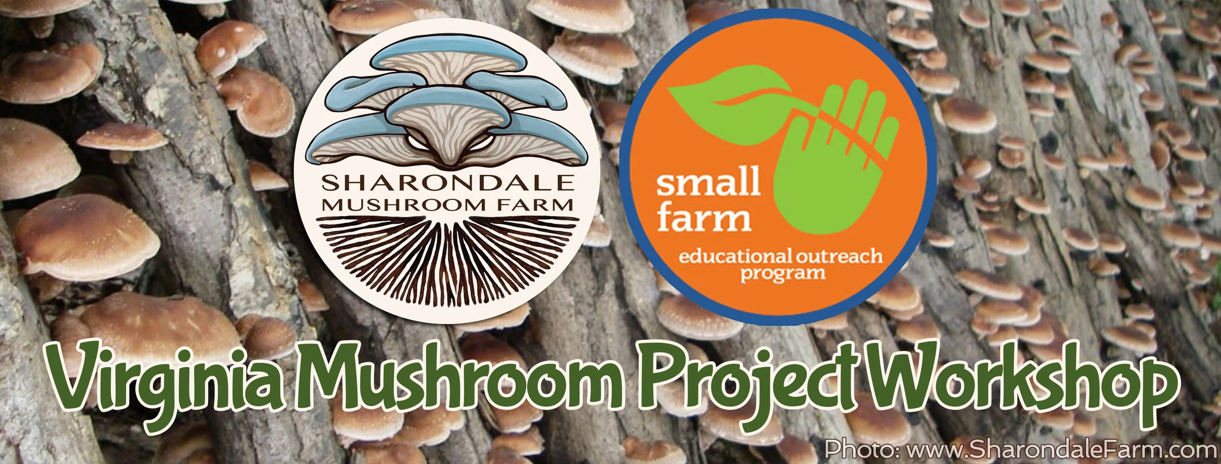 Virginia-Mushroom-Project-Workshop_hires.jpg