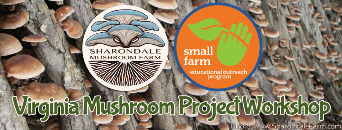 Virginia-Mushroom-Project-Workshop-1.jpg