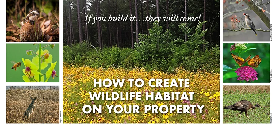 Habitat_banner.jpg