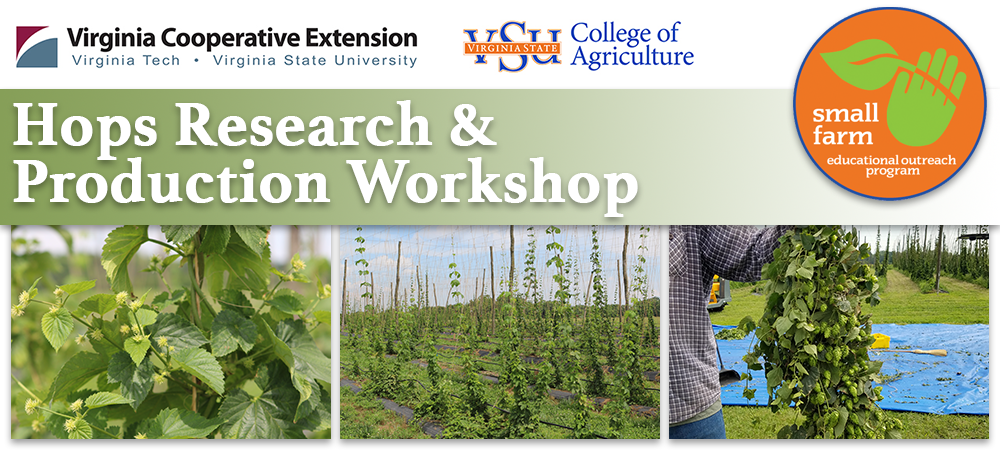 hopsresearch-workshop.png