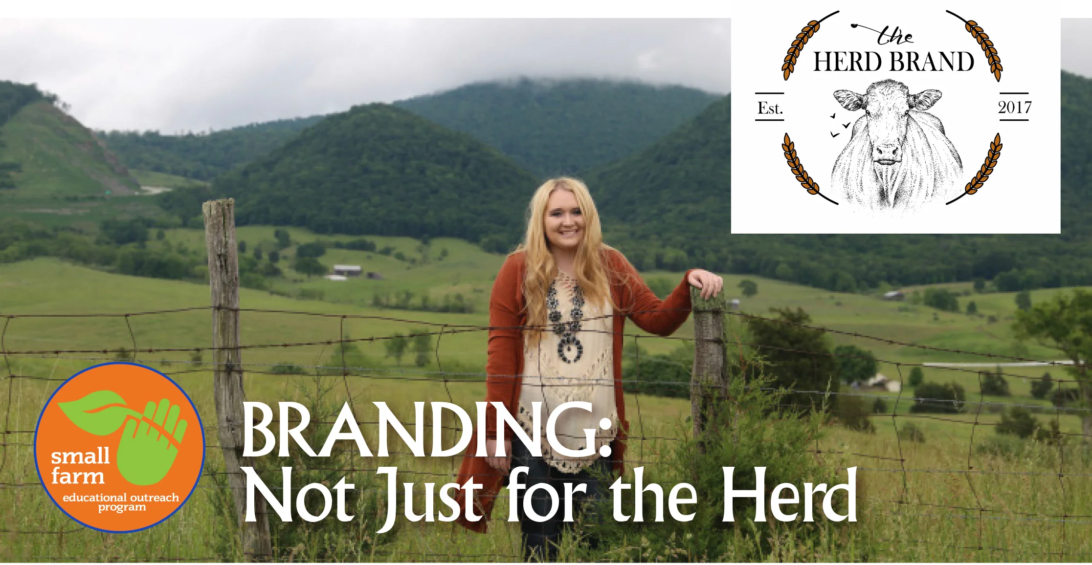HerdBranding_banner.jpg