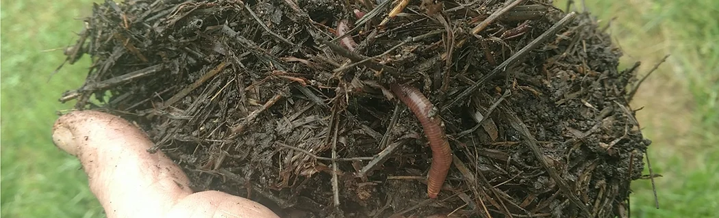 SoilisAlive_header.jpg