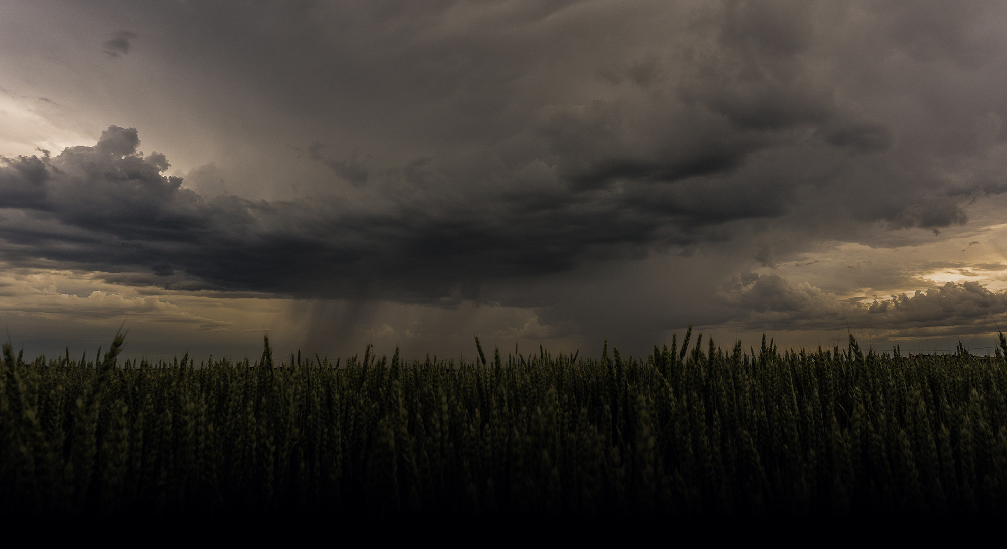 Severe Weather Resources
