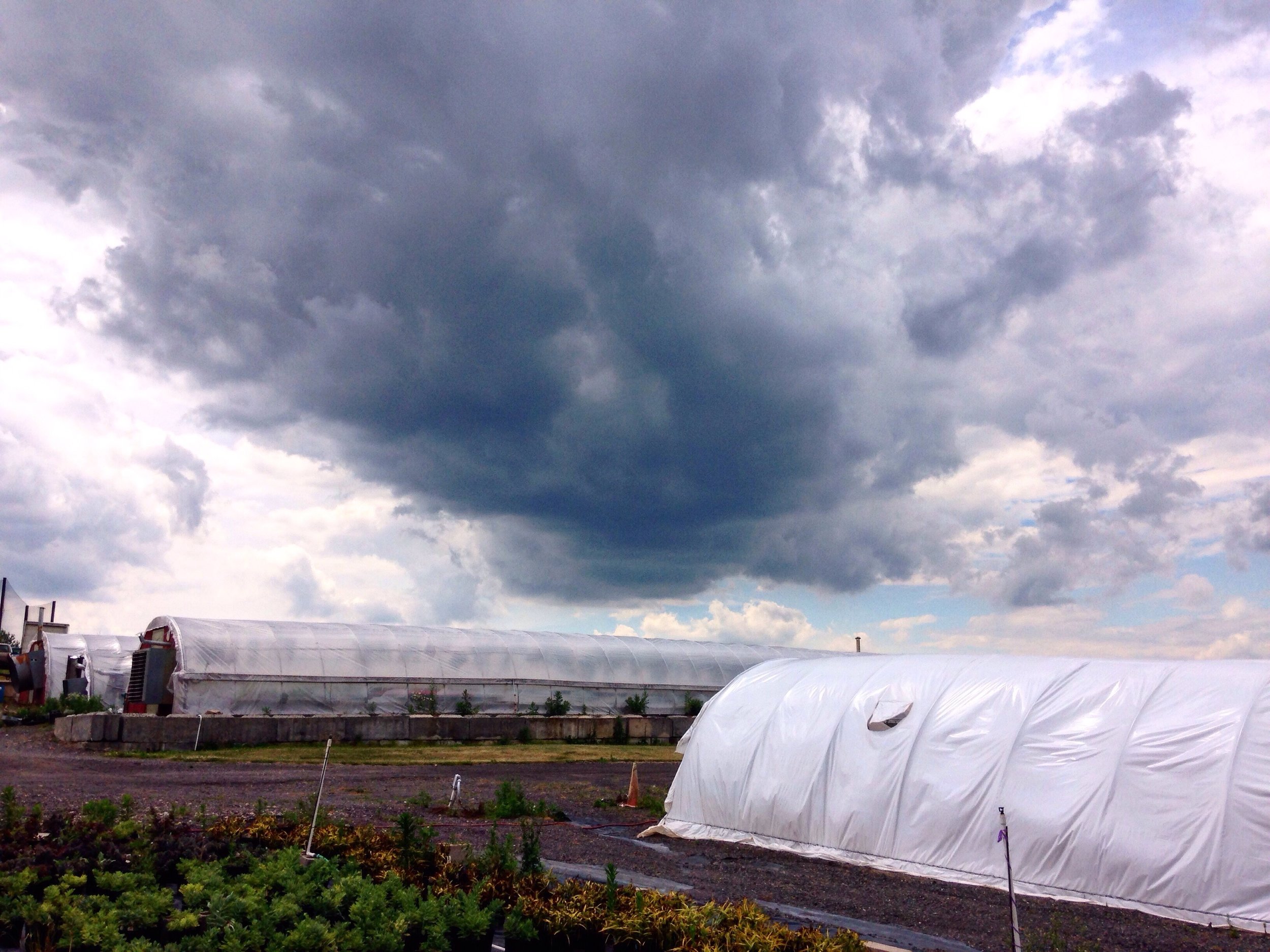 High Tunnels in Storms.jpeg