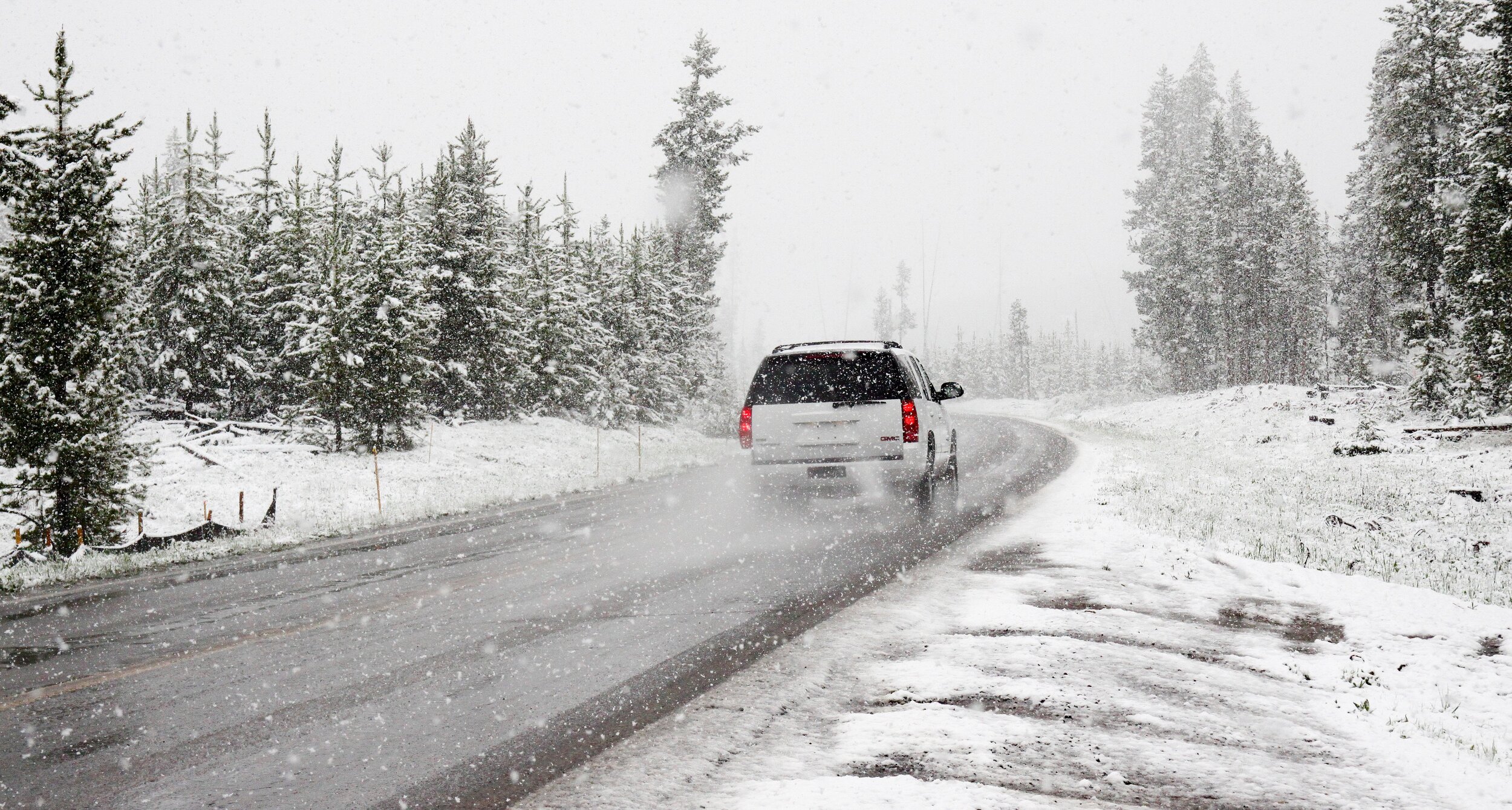 Rock Salt Can Make Winter Rough on Plants and Trees — Virginia Cooperative  Extension - Virginia State University