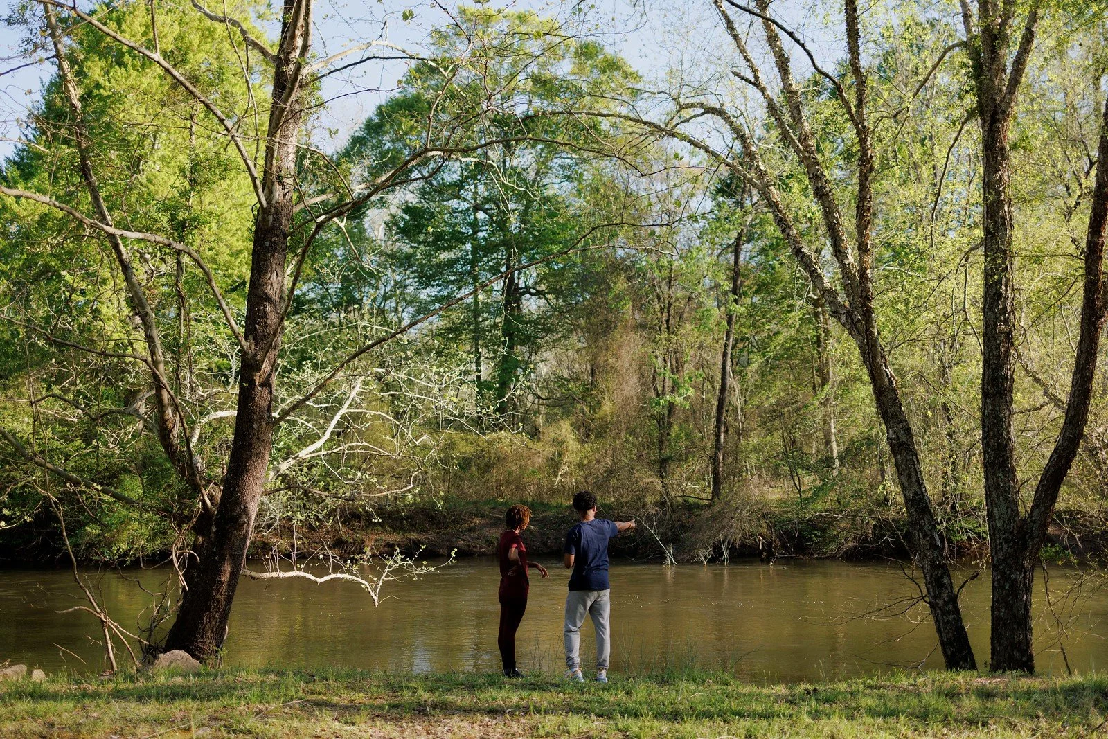 Harnessing Nature's Stormwater Management Methods to Increase Virginia's Water Resilience