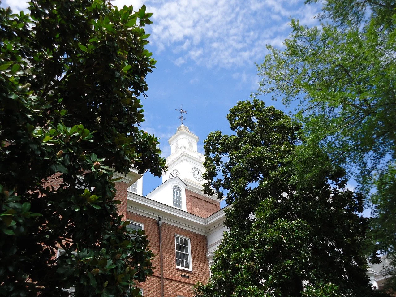 Healthy trees, safer communities