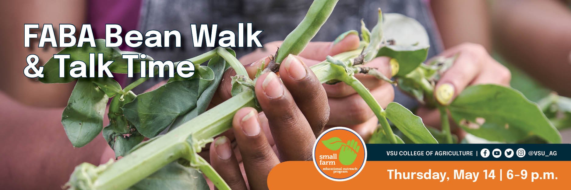 SFOP - WEB FABA Bean Walk.jpg