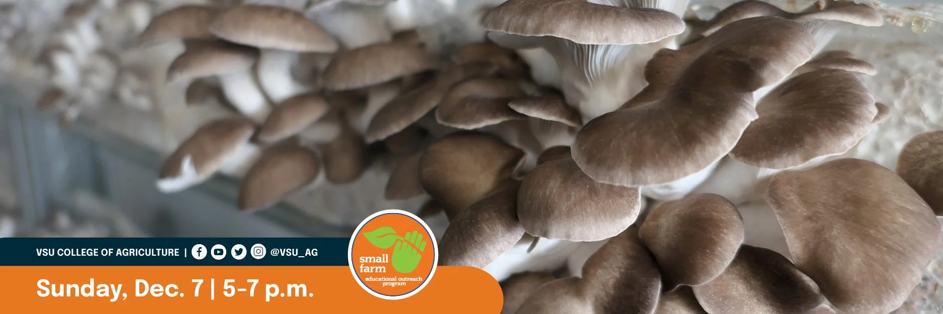 SFOP - WEB Mushroom Cultivation - 7DEC 2.jpg