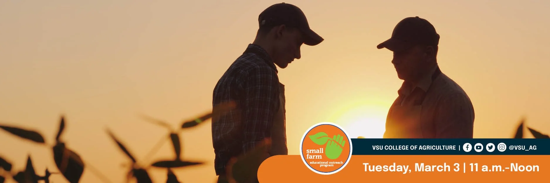 SFOP - WEB Observe, Engage n Share.jpg