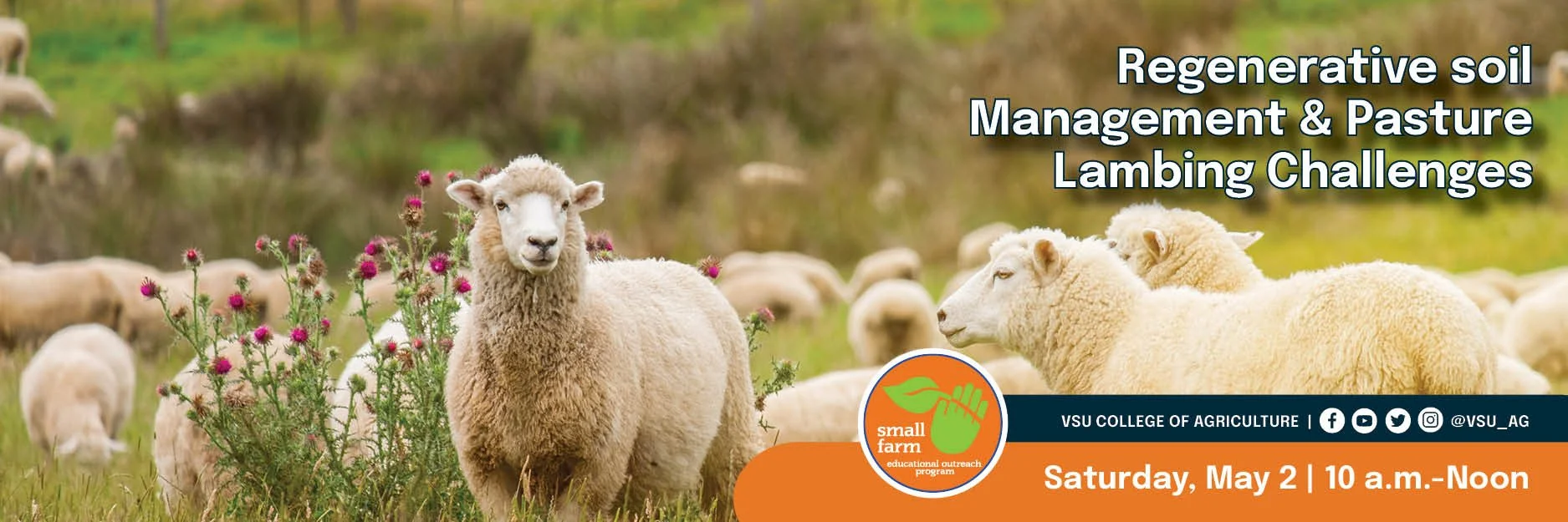 SFOP - WEB Regenerative soil management & Pasture Lambing Challenges.jpg