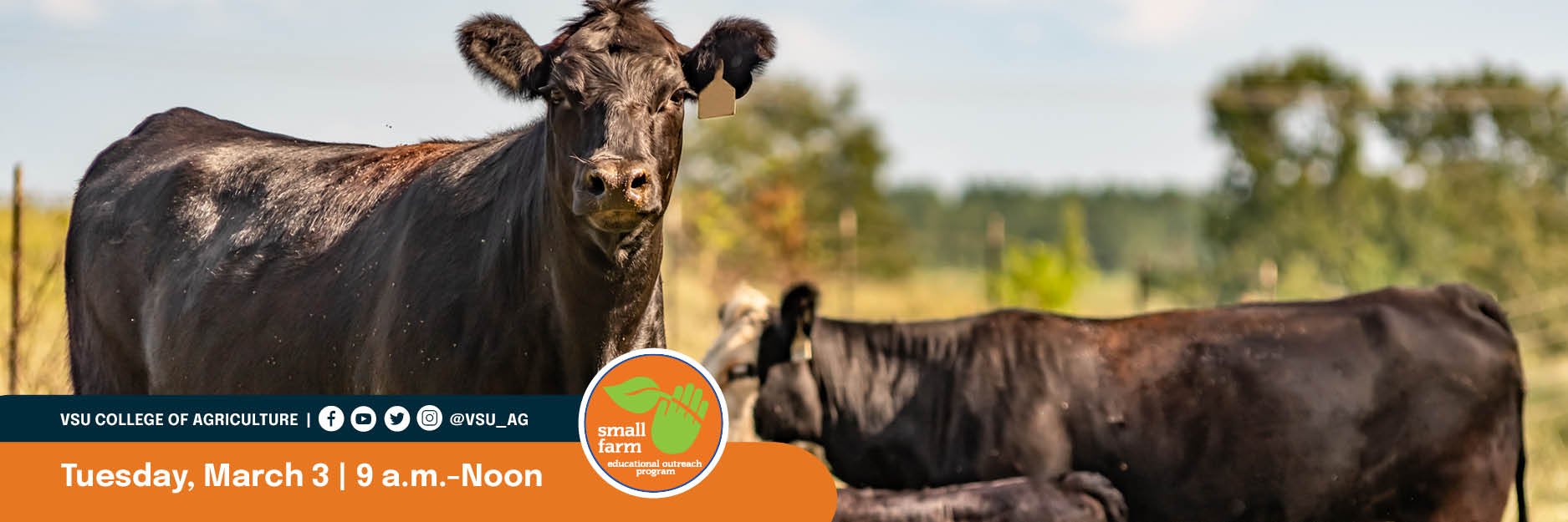 SFOP - WEB Herd Management and Forage.jpg