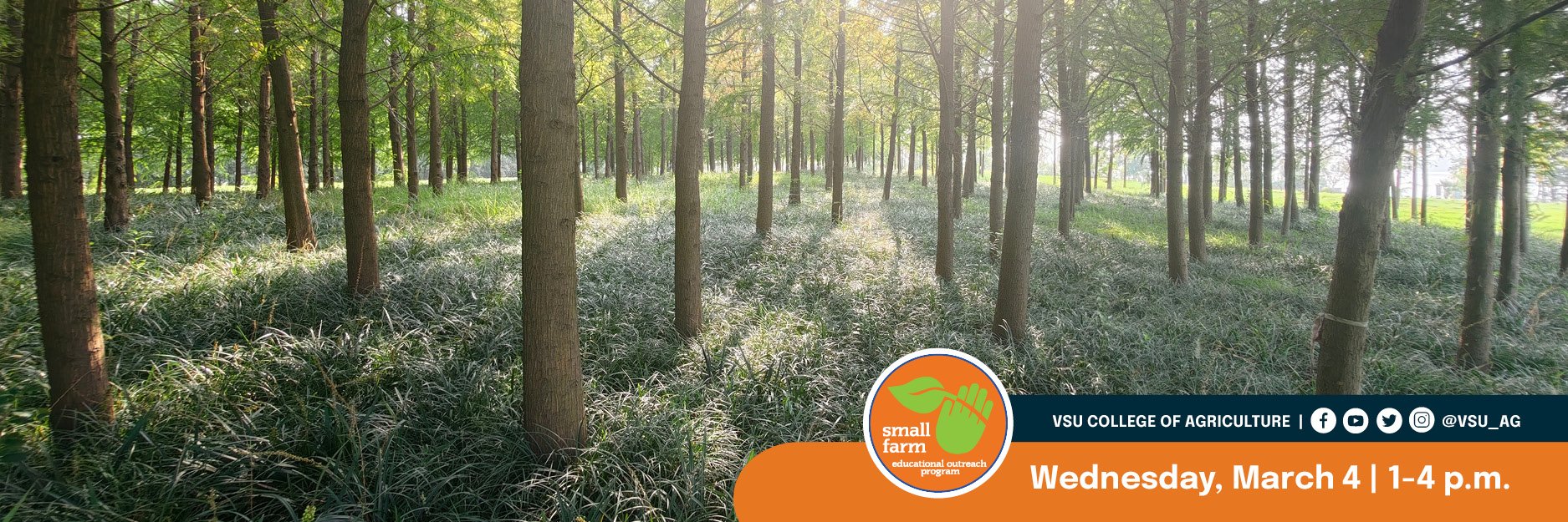 SFOP - WEB Forest Management.jpg