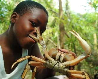 crab.jpg