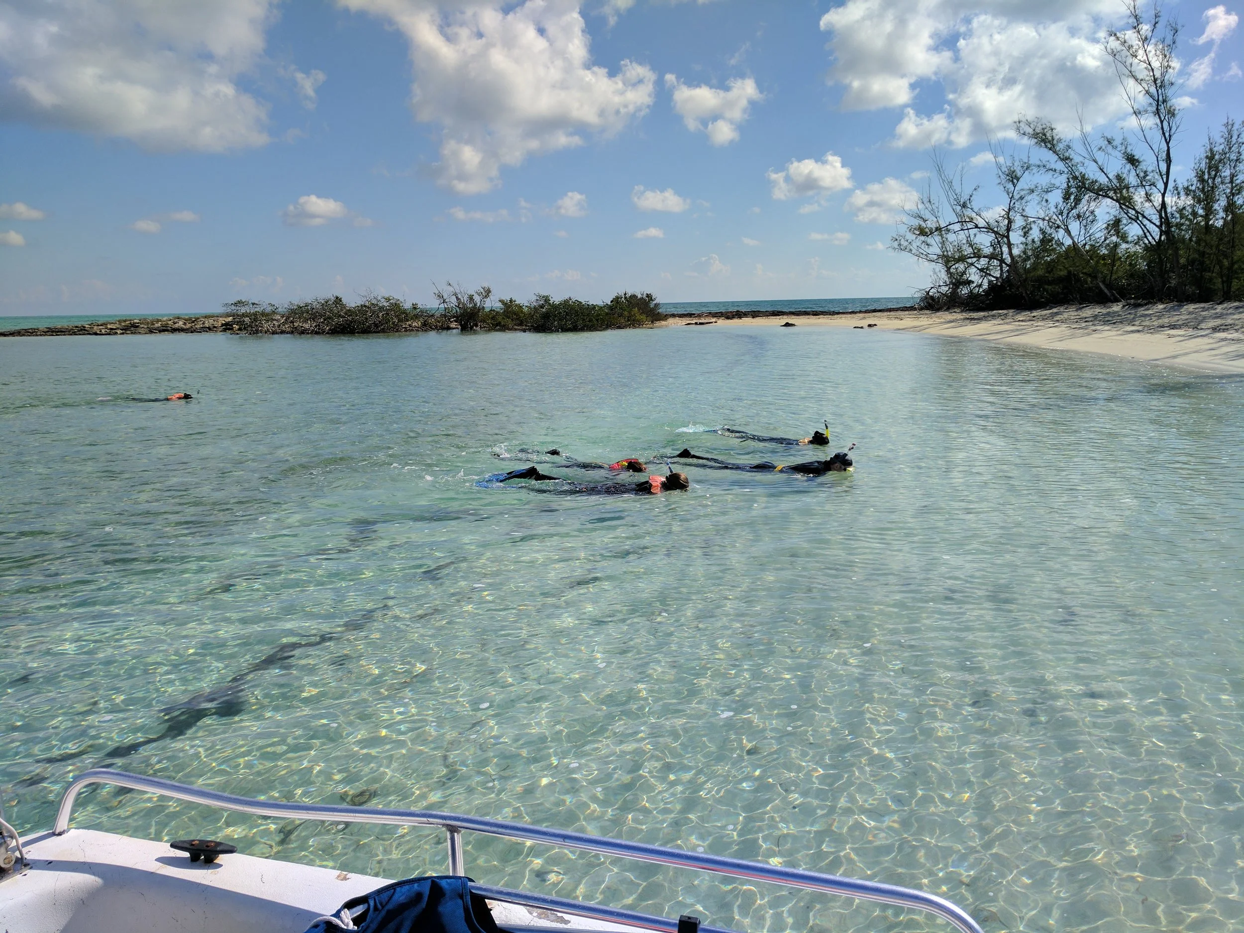 Saddleback Cay Snorkel Orientation