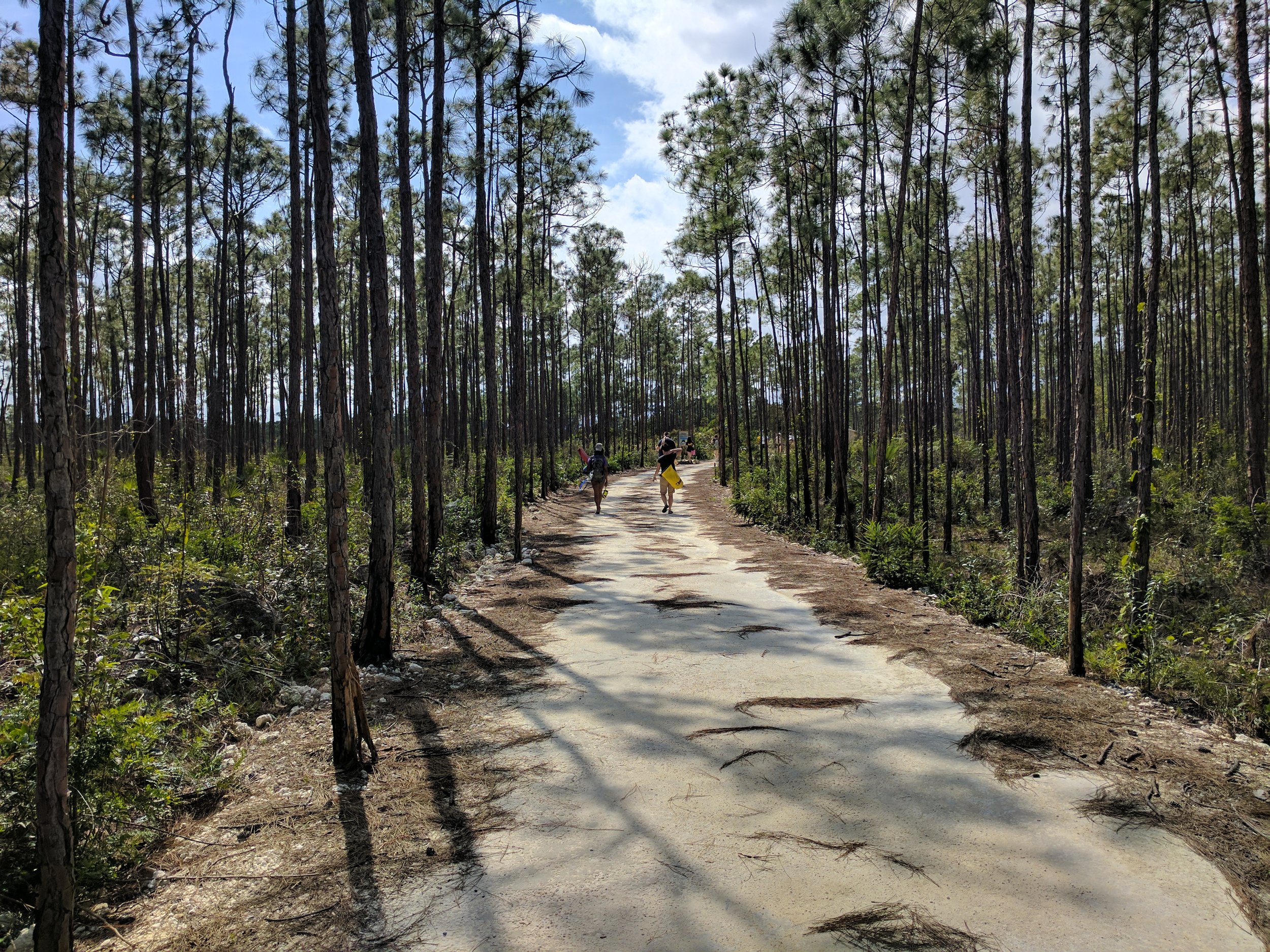  Pedestrain Trail Leading to the Blue Hole 