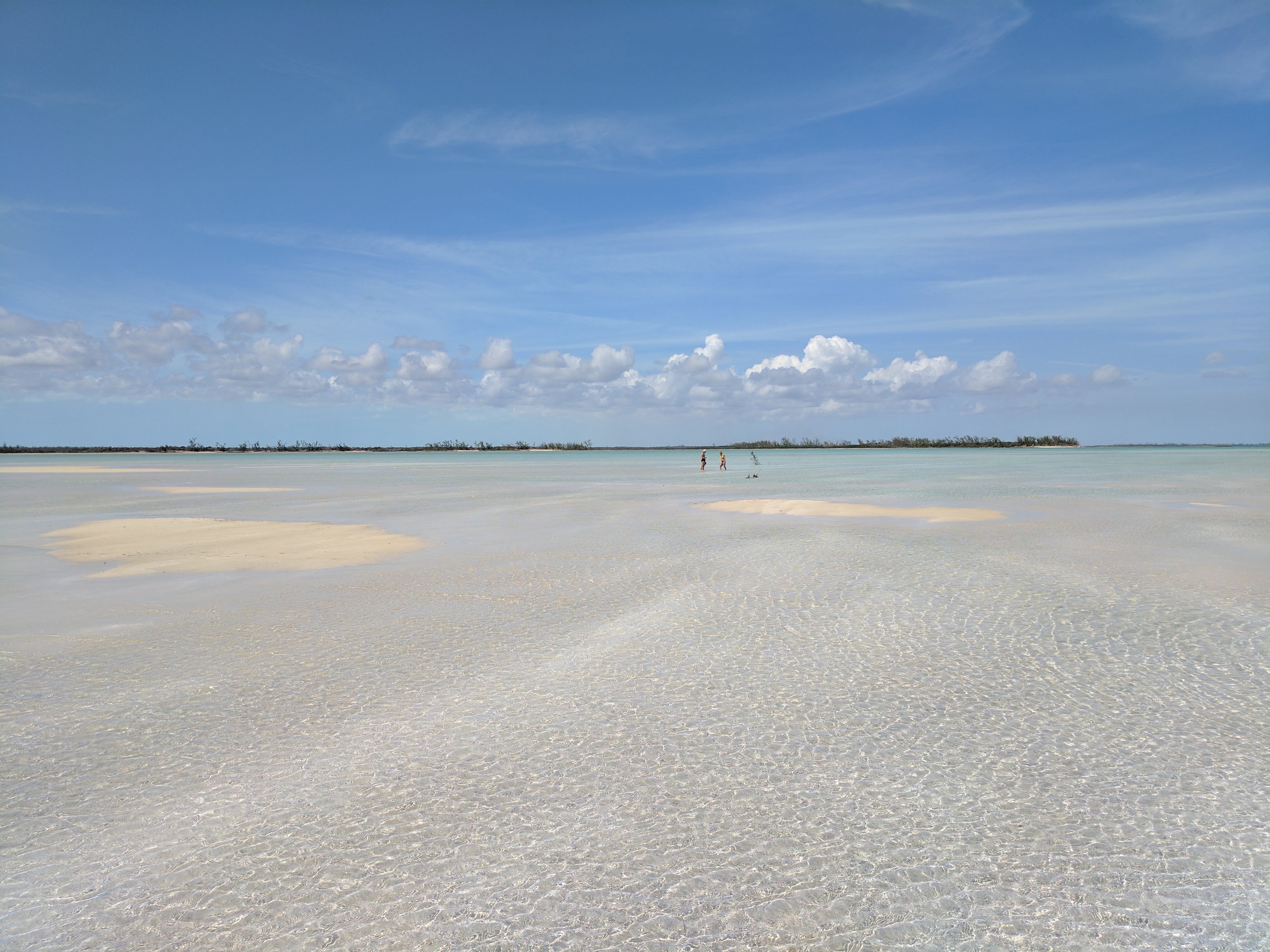 Low Tide Invertebrate Walk