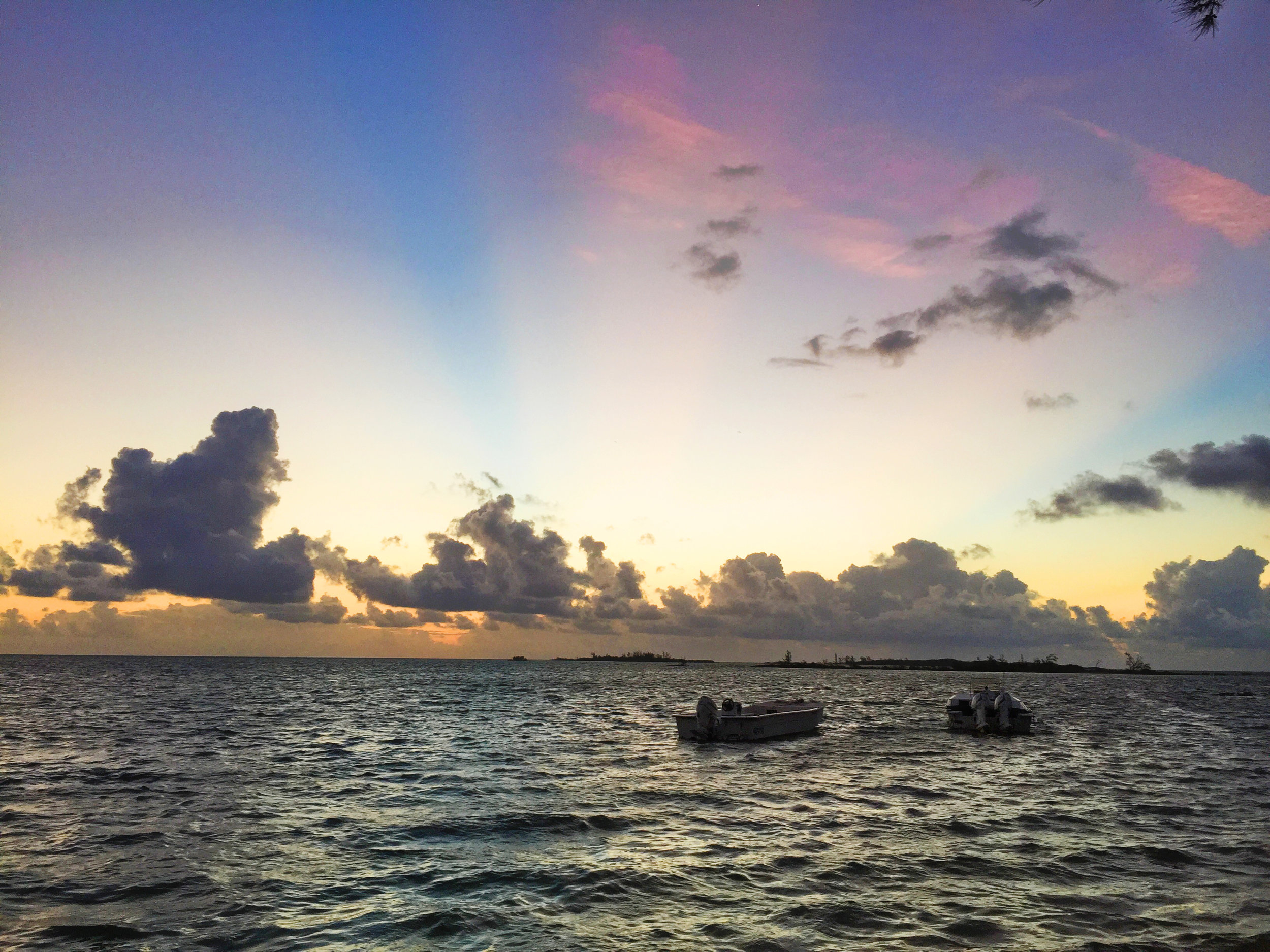  View from the Beach Photo Credit: Sara Orofino 