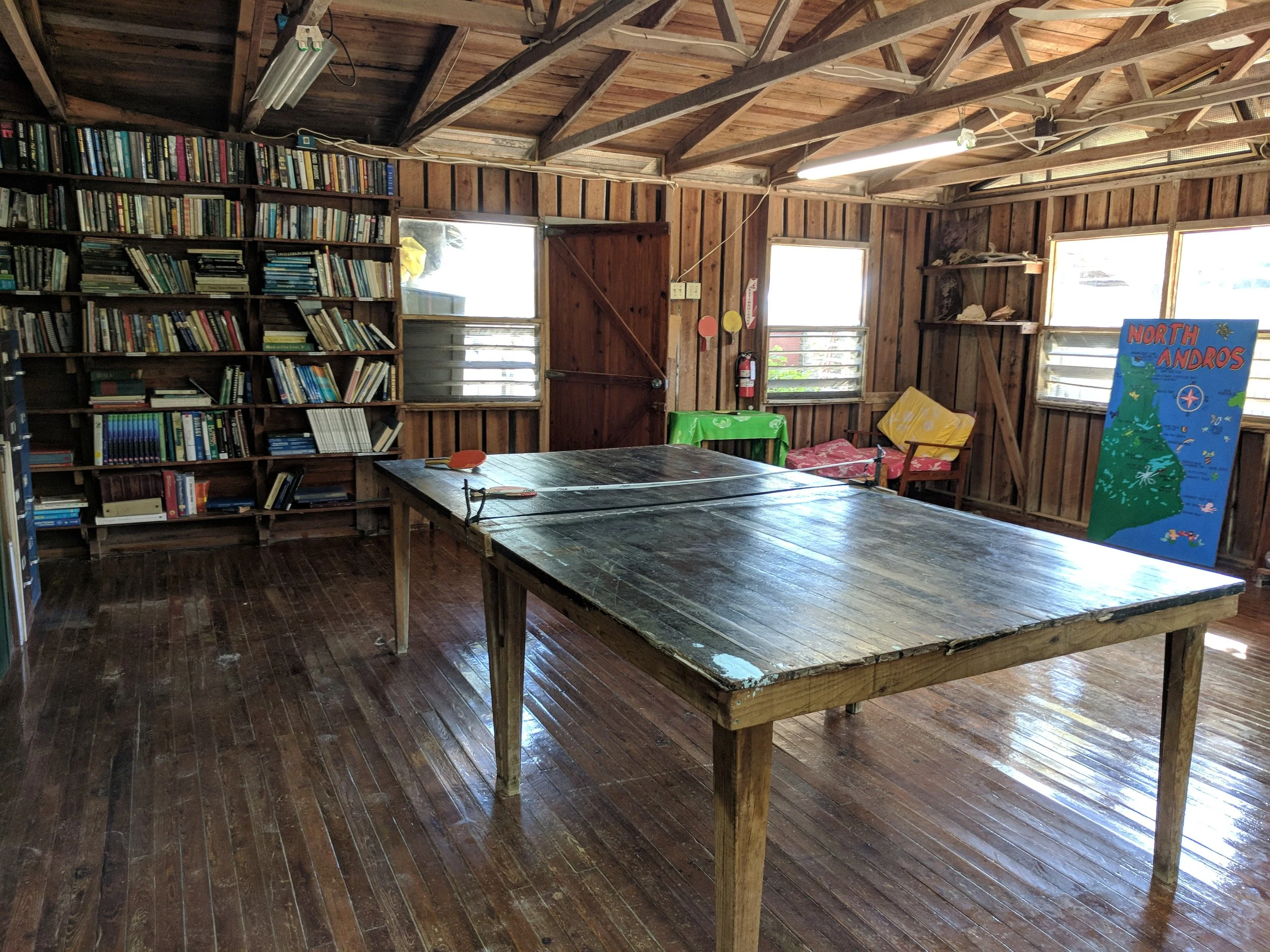 The "Ping Pong" Room