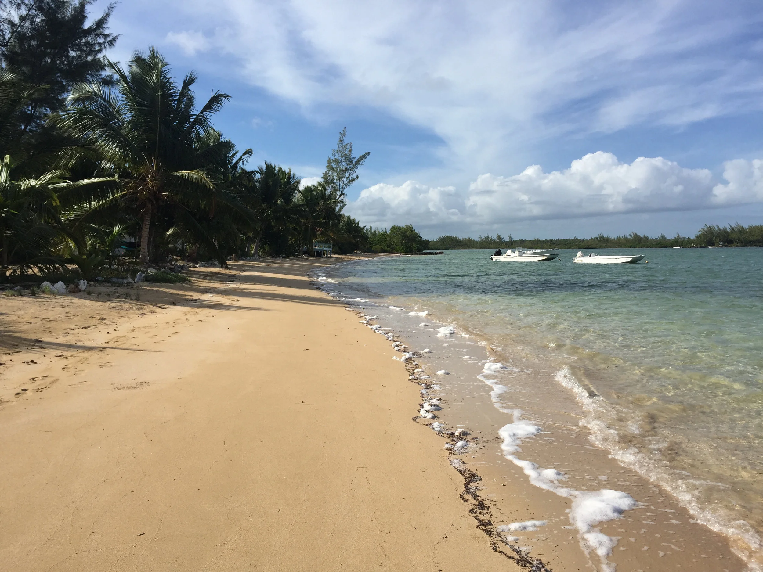 Image from iOS (14).jpg