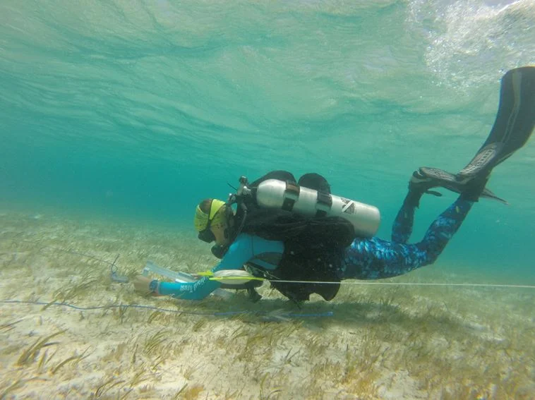 Where are they now? A Spotlight on our Previous Interns - Carolyn Belak!