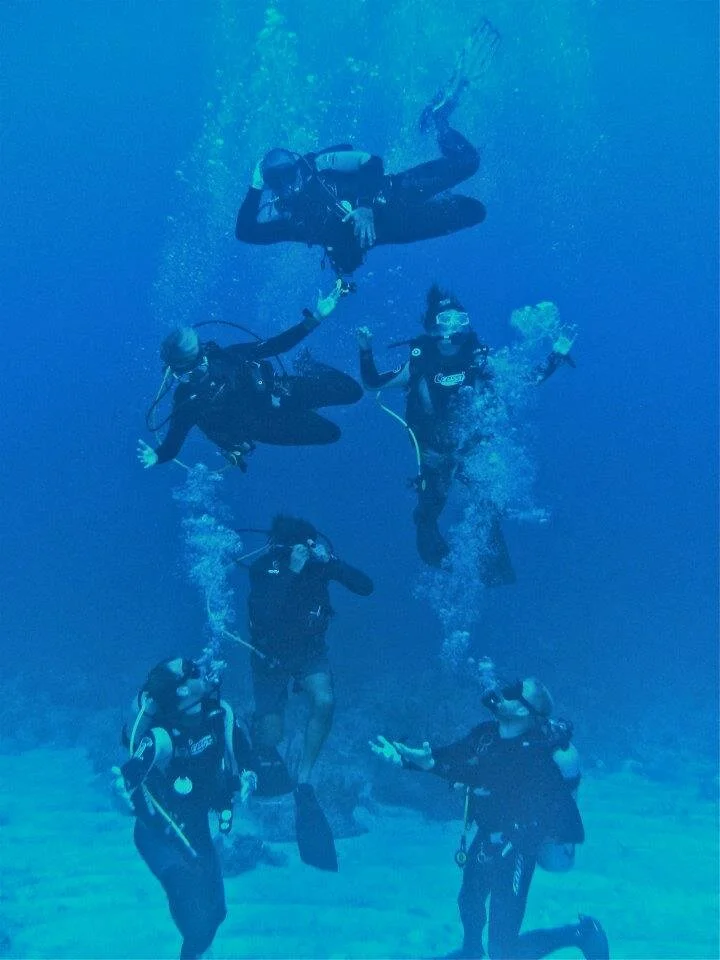 400189_312278242147287_205965831_n.jpg