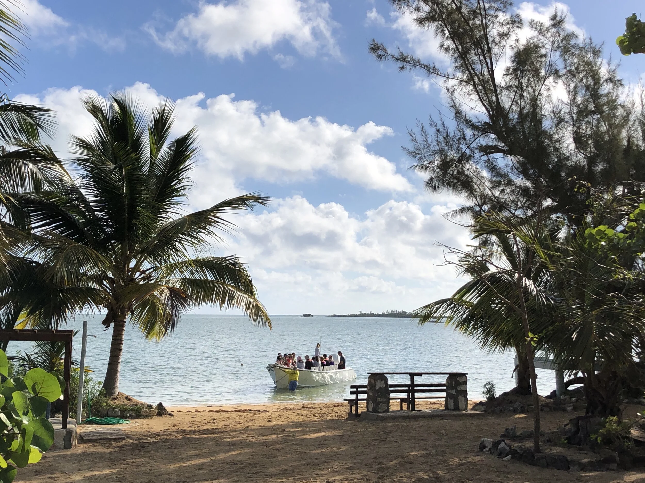 Summer Marine Biology Week — International Field Studies, Inc.