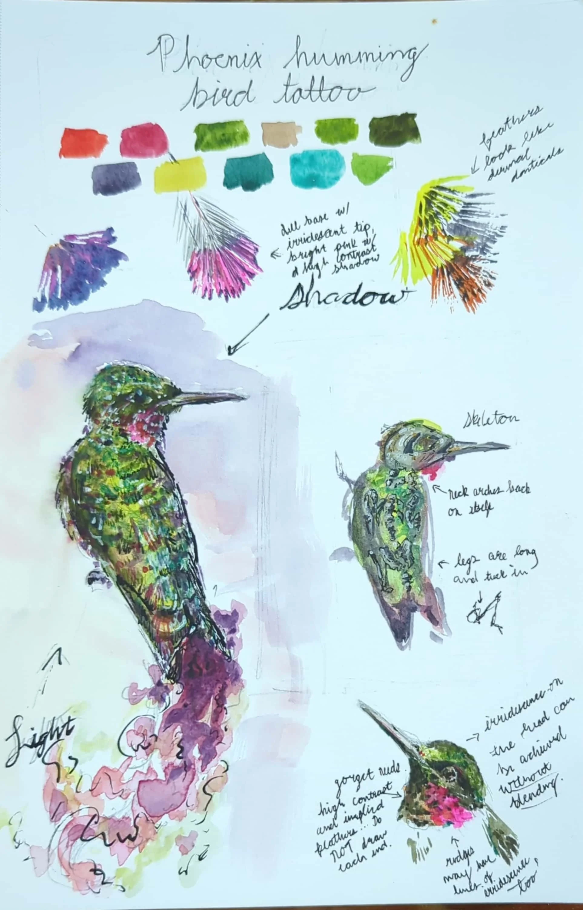 Bahamas woodstar tattoo sketch (1).jpg