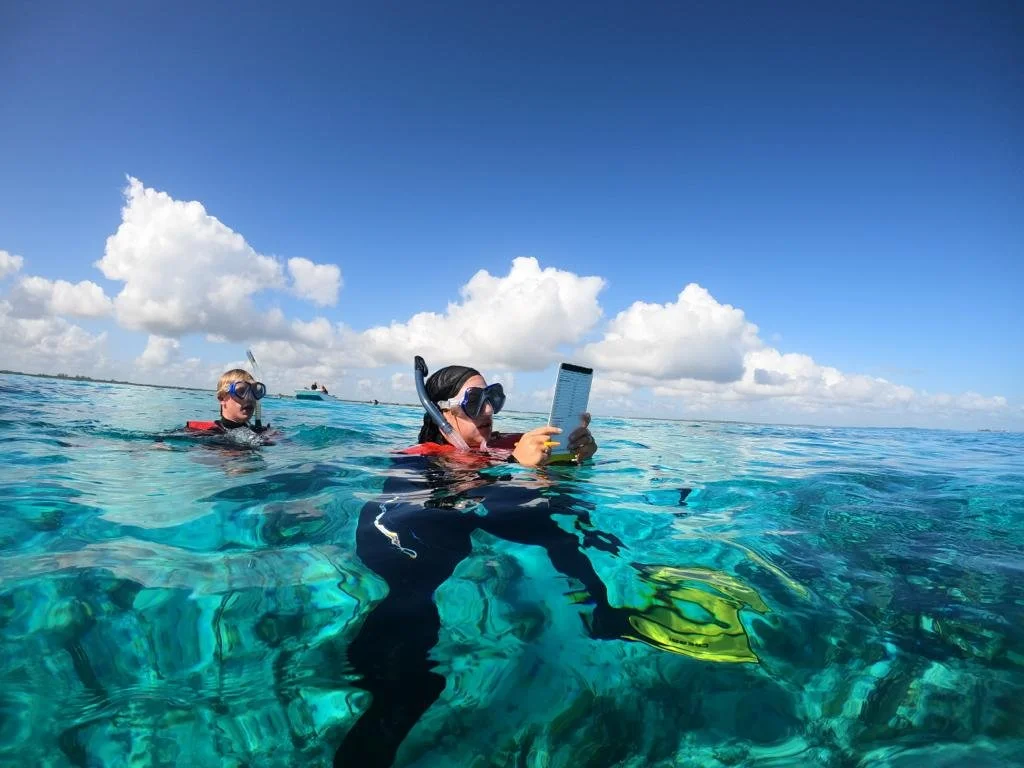 1cc638a9-544c-49ff-865a-ae9f2f57fd04 (2).JPG