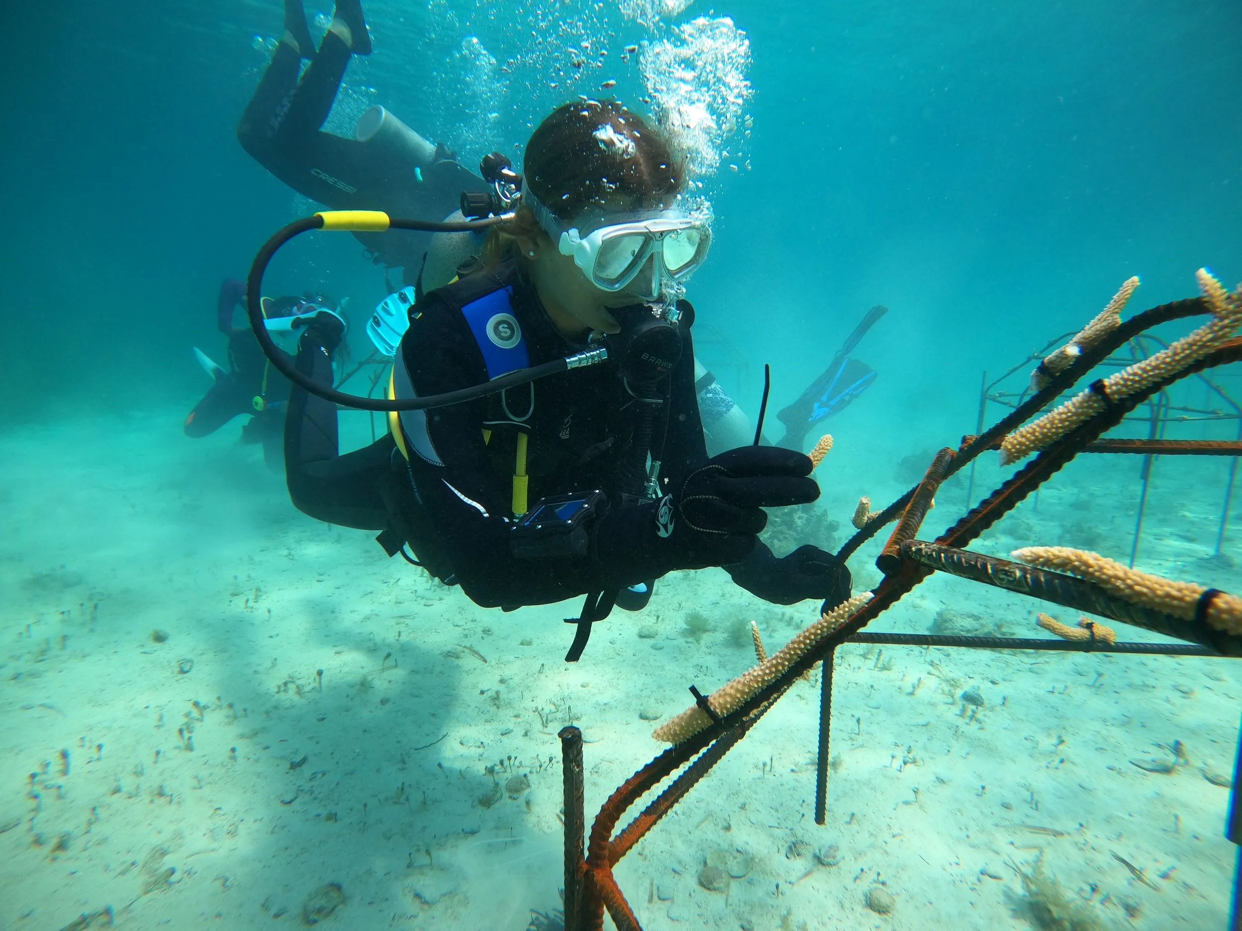 GPTempDownload (5) (1).jpg