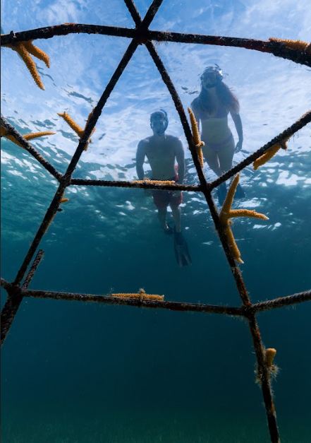 Screenshot 2026-03-26 121311.png