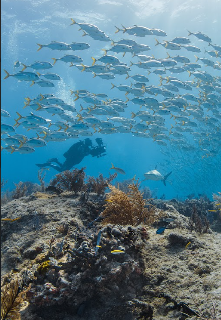 Screenshot 2026-03-26 121104.png