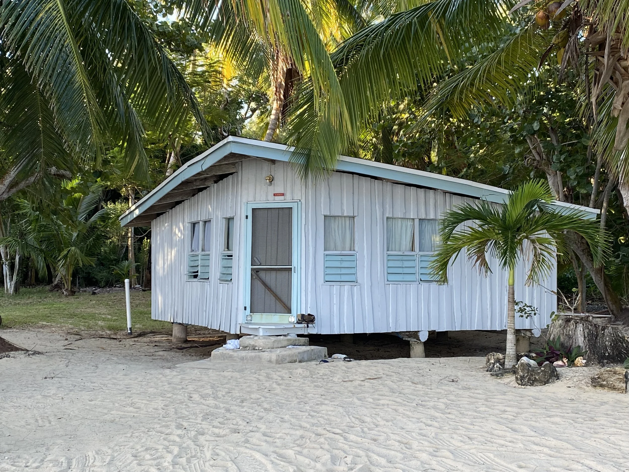 IMG_5558 (1) (1) (2).jpg