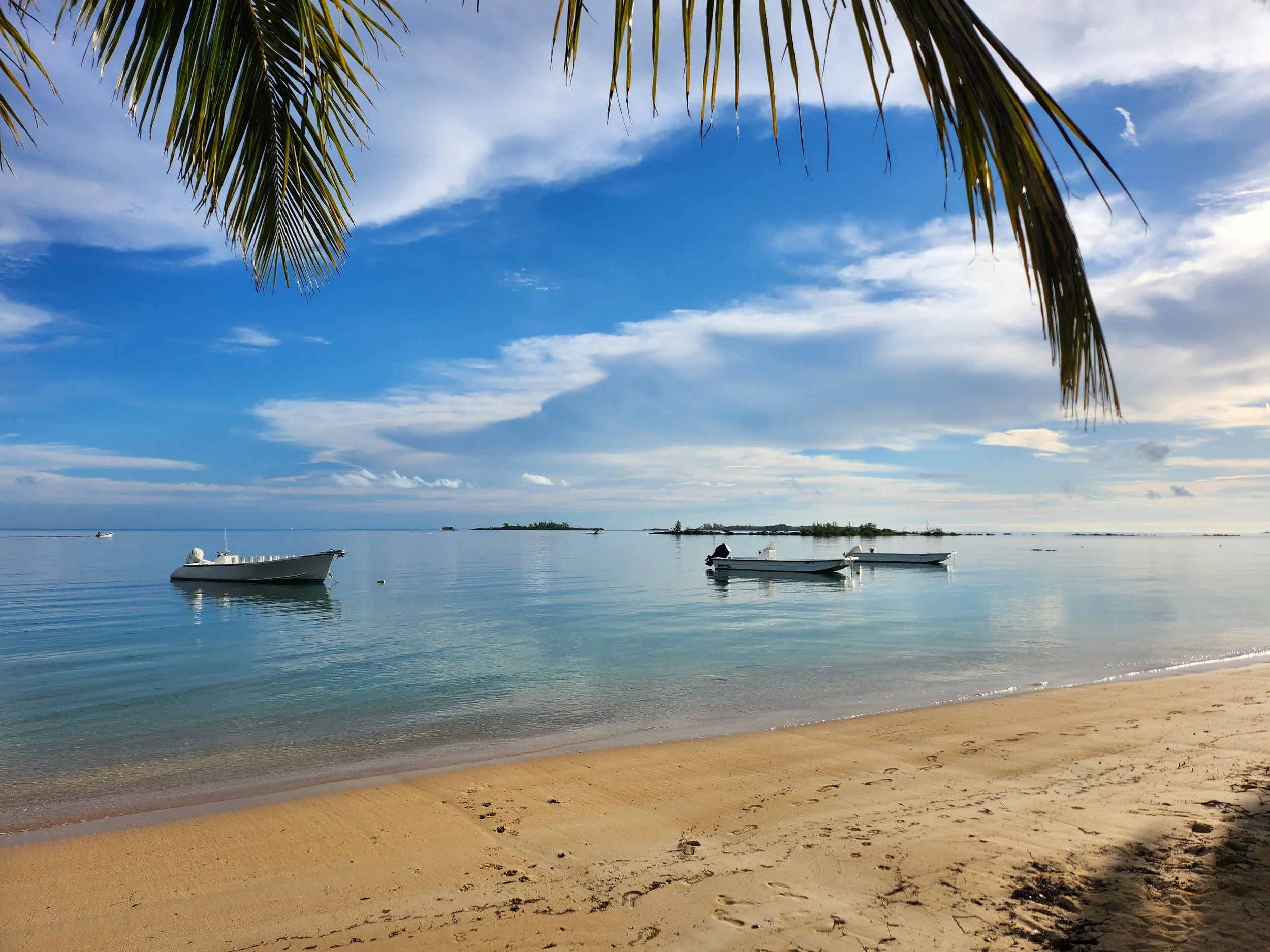 20230120_083424 (3).jpg