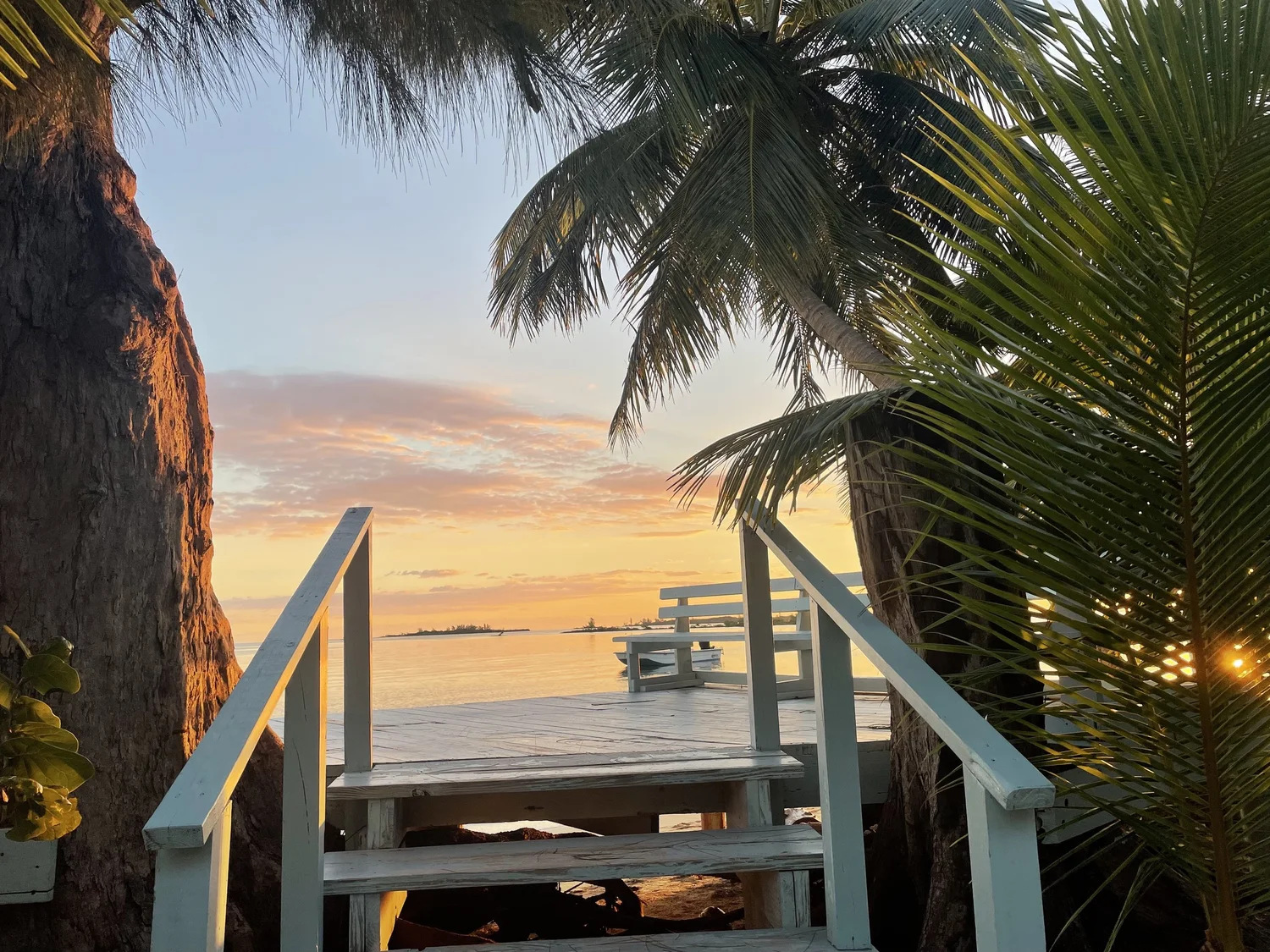 Study Marine Conservation in The Bahamas — International Field Studies ...