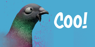 coo pigeon head.png