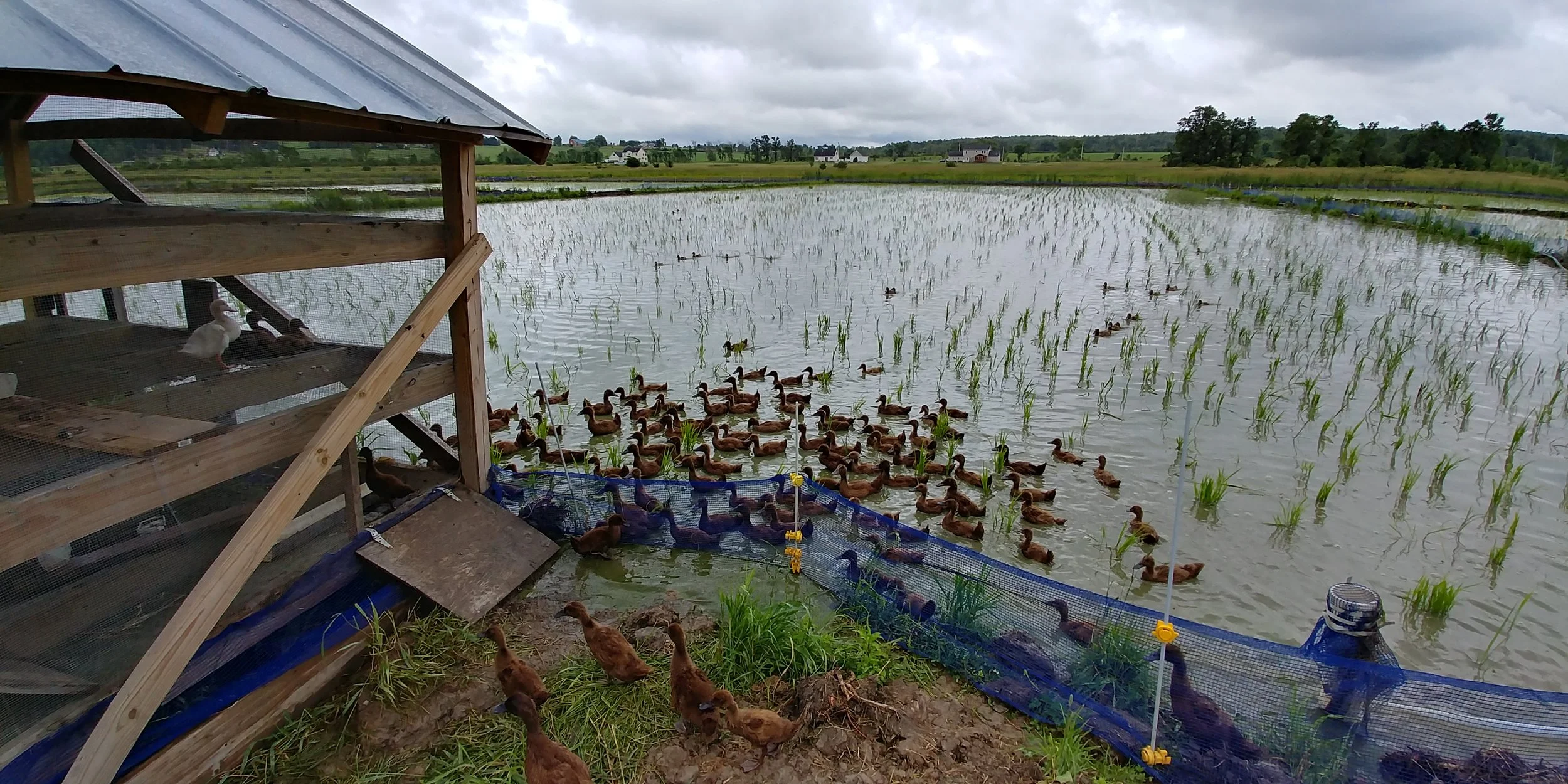 20180628_132513_HDR.jpg