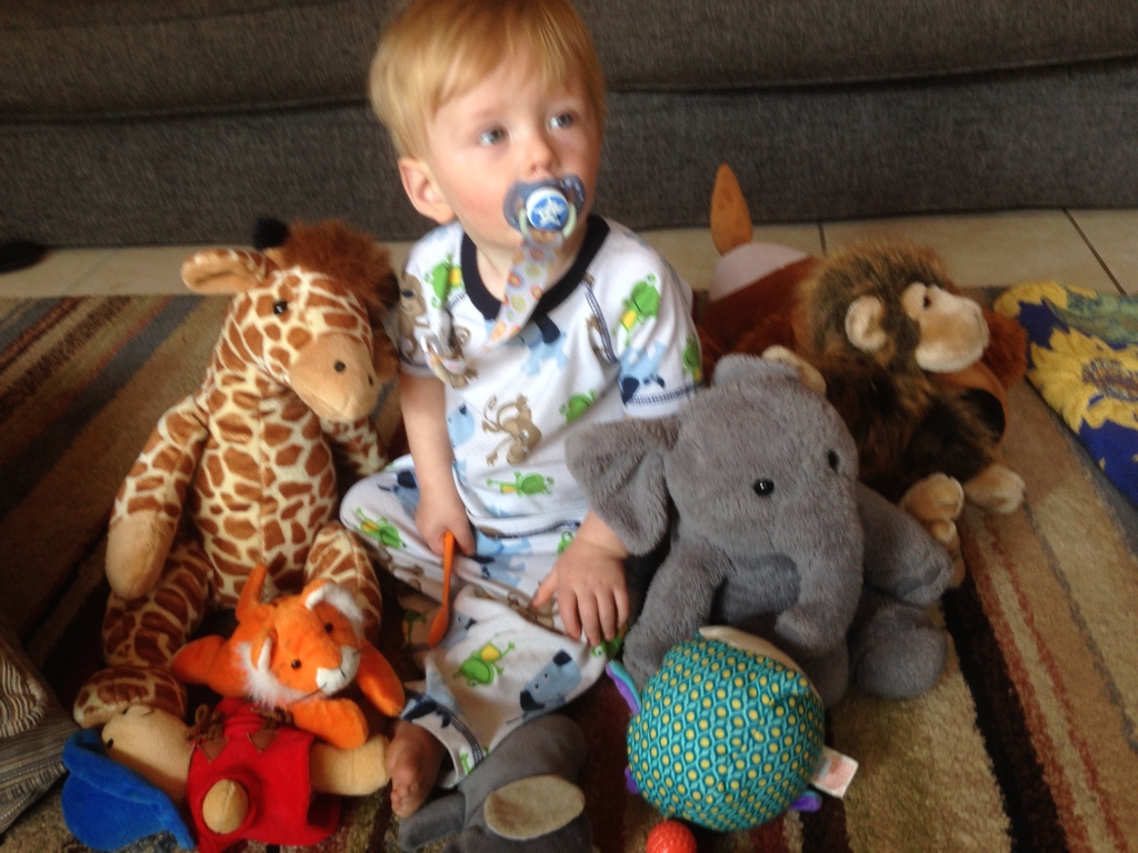 Peter with all of his animal friends